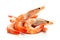 Indulge in the Close-Up View of Deliciously Prepared Shrimp, Glistening and Tempting, on a White Background. created with