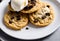 Indulge in a sweet treat: ice cream and cookies