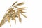 Industrial 3D illustration of the cg sheaf of wheat spikelets isolated on white background - agriculture