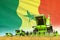 industrial 3D illustration of green grain agricultural combine harvester on field with Senegal flag background, food industry
