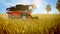 Industrial 3D illustration of unmanned grain harvester working on the farm field