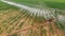 Industrial agriculture 4K Aerial view. Irrigation of round fields with agricultural crops in summer