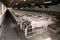 Industrial animal farm for pig sows and piglets