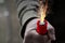 Industrial battery in a man fist from which shoot lightning and smoke clouds float away, composite image, concept