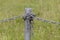 Industrial chain attached to a galvanised fence post