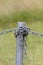 Industrial chain attached to a galvanised fence post