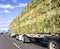 Industrial classic big rig white semi truck transporting pressed hay on the flat bed semi trailer driving on the wide straight