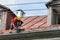 Industrial climber removes leaves and dirt from house rooftop rain gutter