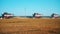 Industrial combines are moving in a line along the crops field