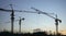 Industrial construction cranes site