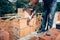 Industrial construction worker, professional bricklayer worker placing bricks on cement while building exterior walls