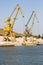 Industrial cranes in harbor