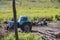 Industrial deforestation by forestry workers using machinery