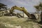 This is an industrial digger on a beach