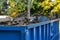 Industrial dumpster filled with debris.