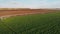 Industrial farming 4K Aerial video footage: Irrigation of field in Summer. Drone shot, agriculture at dawn in the summer