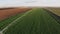 Industrial farming 4K Aerial video footage: Irrigation of field in Summer. Drone shot, agriculture at dawn in the summer