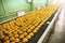 Industrial food production process. Factory or bakery conveyor belt with cakes. Automation manufacturing