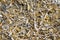 Industrial gold waste from electronic components. background