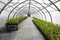 Industrial greenhouse with plant seedlings