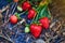 Industrial growth of fresh strawberries grown in field
