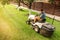 Industrial handsome worker using ride-on tractor, lawn tractor