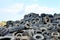 Industrial landfill for the processing of waste tires and rubber tyres. Pile of old tires and wheels for rubber recycling. Tyre