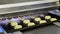 Industrial production systems for the bakery industry.