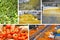 Industrial production of vegetables in food processing plant, collage