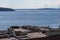 Industrial rooftops overlooking the puget sound in spring