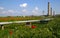 Industrial ruins, tubes & flowers field