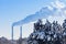 Industrial tubes smoke in front of blue sky and winter spruces