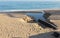 Industrial wastewater, the pipeline discharges liquid industrial waste into the sea on a city beach. Dirty sewage flows from a