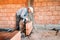 industrial worker installing brick masonry on interior wall with trowel putty knife