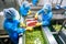 Industrial workers in a food processing plant sorting and packaging fruits and vegetables\\\'