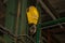 Industrial yellow crane hook hanging in the factory