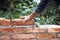 Industry details - Construction bricklayer worker building walls with bricks, mortar and putty knife