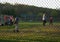 Industry standard galvanized chain link fence at a ball game