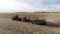 Industry work on rural land at farm field, farming agriculture machine, tractor