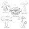 Inedible mushrooms. Line art. Set of vector illustrations
