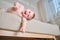 Infant baby falls off the sofa in the home living room. Toddler kid gets off the bed. Problems with the safety of children without