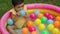 infant baby girl playing water with colorful plastic balls in inflatable pool