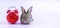 Infant baby rabbit bunny sitting with red alarm clock bell over pink background copy space. Lovely furry bunny brown rabbit