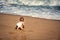 Infant boy crawling on sand towards ocean wave. Baby child crawl on all fours on tropical beach reaching waterfront rear view.