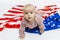 An infant child lies on the American flag and looks intently at the camera. Childcare and patriotism on Independence Day