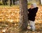 Infant leaning on autumn tree