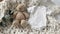 Infant onesie mockup with teddy bear and eucalyptus on ivory blanket throw background
