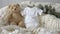 Infant onesie mockup with teddy bear toy and eucalyptus branch on white blanket background