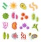 Infection bacteria and pandemic virus vector biology icons. Vector flat bacteria microbe iluustration. Micro organism