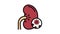 infection kidney color icon animation